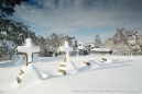 St. Martha's Church gravestones.