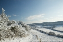 Pathway along Pewley Down.