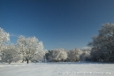 Virgin snow on Pewley Down.