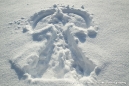 Fresh 'Snow Angel'.