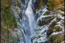 Aira Force