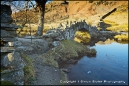 Slater Bridge in the Langdales