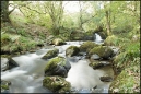 High Force
