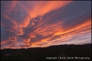 Fire in the sky